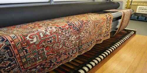 باکتری ها و میکروب ها