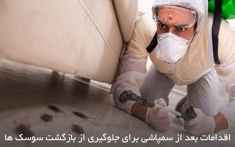 اقدامات بعد از سمپاشی برای جلوگیری از بازگشت سوسک ها - تصویر 2