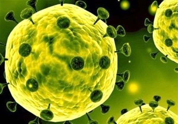 علامتگذاری خانه مبتلایان به ویروس کرونا +عکس