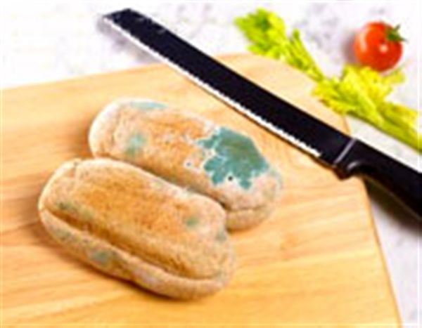 مواد غذایی کپک زده رو چیکار کنیم؟