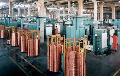 محصولات شرکت شهید قندی به قاره آمریکا رسید / اوج‌گیری فروش «بکام» در اوج تحریم‌ها