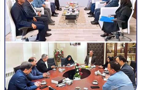 حضور مدیرعامل بیمه سرمد در خراسان جنوبی؛ توسعه همکاریها و همدلی با خانواده سرمد