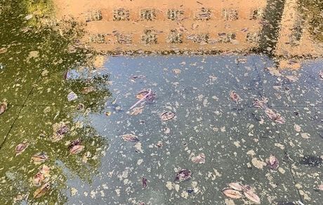 پستِ هنری طور شبنم مقدمی + عکس