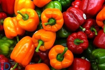 درمان زخم معده و درمان سرماخوردگی با فلفل دلمه ای