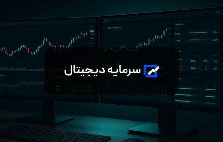 معرفی تیم سرمایه دیجیتال و خدمات شرکت سرمایه دیجیتال