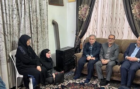 دیدار نوروزی مدیر عامل بیمه دی با خانواده شهید رضا گشت نورد