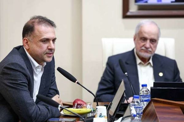 مدیرعامل شرکت ملی مس: بهرهمندی راهبردی از ظرفیت فرهنگستان علوم در توسعه صنعت مس