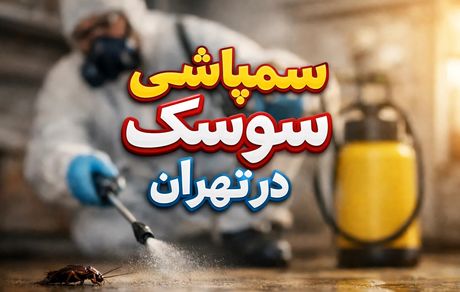 بهترین شرکت سمپاشی سوسک در تهران [ ویژه امسال ]