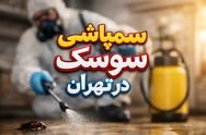 بهترین شرکت سمپاشی سوسک در تهران [ ویژه امسال ]