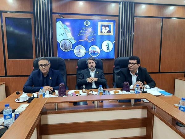 تأکید مدیرعامل صندوق بر لزوم هم‌افزایی دستگاه‌های تابعه وزارت تعاون برای تحقق عدالت اجتماعی