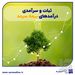 ثبات و سرآمدی درآمدهای بیمه سرمد