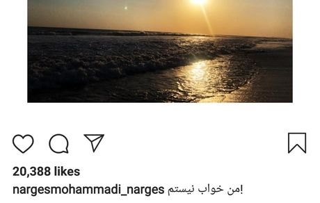 عکس هنری نرگس محمدی 