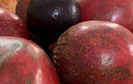 گوشه ای از خانه هانیه توسلی + عکس