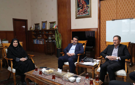 تأکید نمایندگان مجلس بر ضرورت خروج بانک‌ها از بنگاه‌داری / از عملکرد بانک ملی ایران قدردانی شد