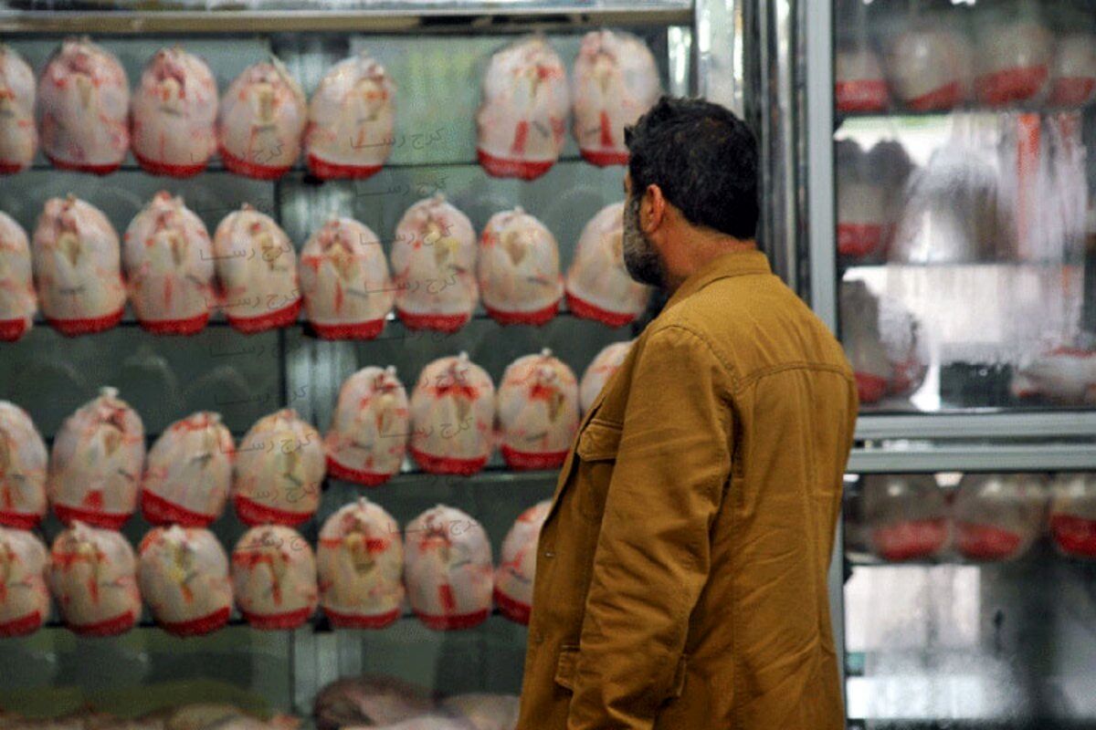 مرغ ارزان است، گران کنید!