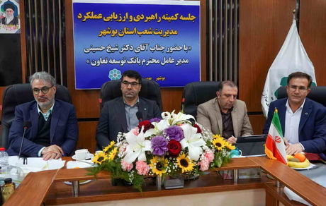 ترکیب بهینه منابع سپرده ای عامل موفقیت بانک توسعه تعاون استان بوشهر است