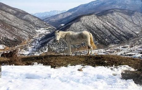 طبیعت برفی دریاچه شورمست سوادکوه