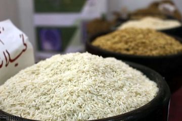 کاهش حدود ۳۰۰ هزار تنی در تولید برنج 