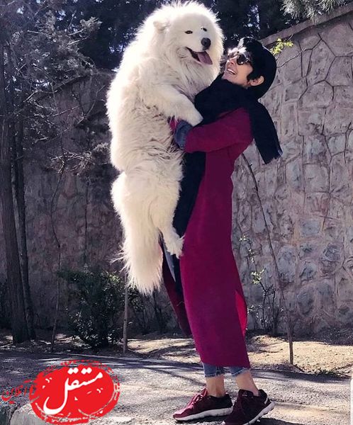 سگ عجیب مریم معصومی + عکس