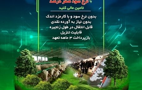 «نوی‌پو» بانک کشاورزی چگونه از سفره مردم محافظت می‌کند؟