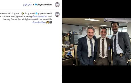 پیمان معادی در هالیوود