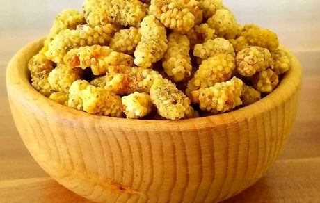 مصرف توت خشک راهی برای فرار از چاقی