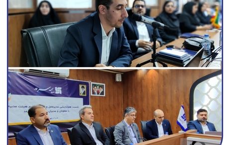 ارائه گزارش جامع برنامه‌ عملیاتی و عملکرد معاونت‌ها و مدیریت‌های مختلف بیمه سرمد