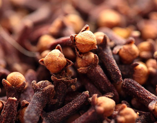 آشنایی باخواص طبی و درمانی میخک