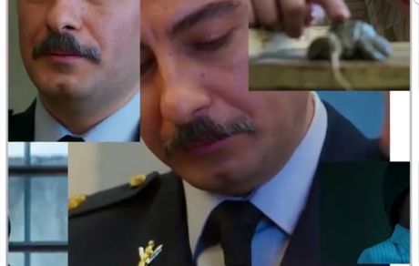 استوری نوید محمد زاده + عکس