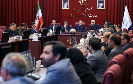 دانه درشت‌ها و فرار مالیاتی آفتی است که باید حتماً ریشه‌کن کرد/ جایگاه‌های مدیریتی باید دارای ثبات باشد/ تعارض قوانین موجب فساد می‌شود/باید به مردم اعتماد کرد/ نباید اکثریت جامعه را قربانی اقلیتی کنیم که فرار مالیاتی دارند / قوانین و مقررات به گونه‌ای شفا