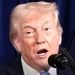 ترامپ یک دیوانه‌ی چپاولگر است
