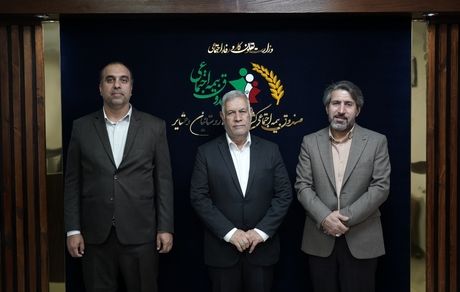 صندوق؛ الگویی پایدار و توانمند در بیمه‌های اجتماعی