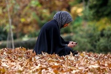 تهران پایتخت مجردها