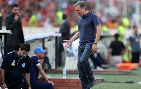 زرینچه عذرخواهی کرد 