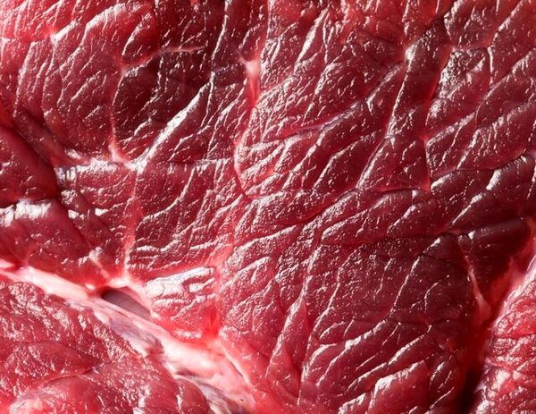 پرورش گوشت های ژلاتینی در آزمایشگاه