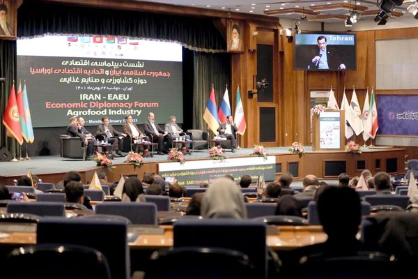 توانمندیهای بانک صادرات ایران برای تسهیل تجارت با آسیای میانه تشریح شد