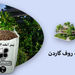 خرید خاک روف گاردن