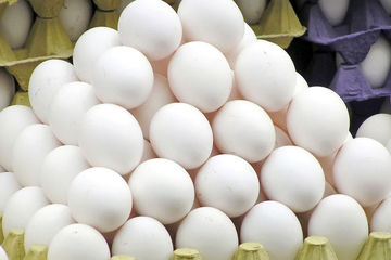 قیمت هر عدد تخم مرغ در بازار چند؟
