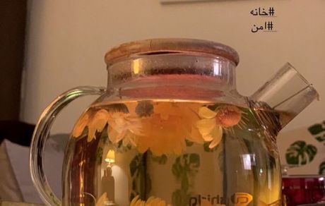 شبانه های دنیا مدنی در خانه اش + عکس