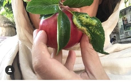 پرتره نمکی سحر ولدبیگی در باغ + عکس