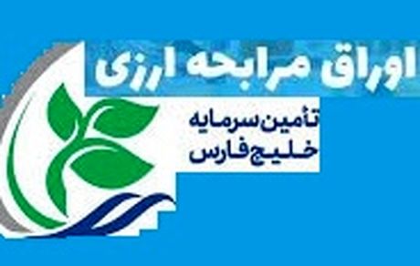 تامین مالی ارزی ۹۵۰ میلیون یورویی تامین سرمایه خلیجفارس برای ۶ طرح بزرگ پتروشیمی